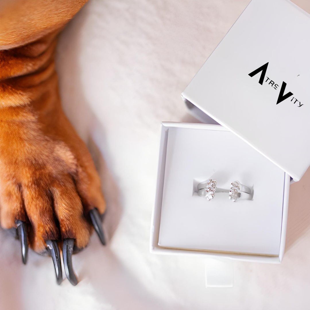 Anillo “SIEMPRE” con Abrazo de Patita (2x1) - Ajustable